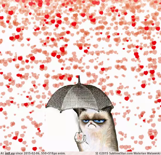 #Animated #Day #Hearts #Grumpy #Raining #Cat #Valentines Grumpy Cat on Valentines Day (raining hearts animated) GIF (Bild von album Rehost))
