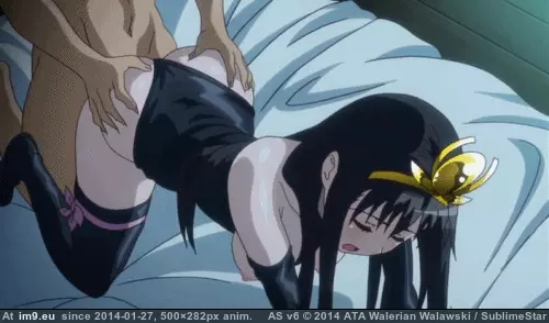 #Hentai #Stuff #Album [Hentai] An album of stuff I like.[3] 23 GIF (Image of album My r/HENTAI favs))