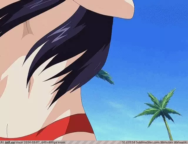 #Hentai #Boin #Resort [Hentai] Resort Boin 48 GIF (Image de album My r/HENTAI favs))