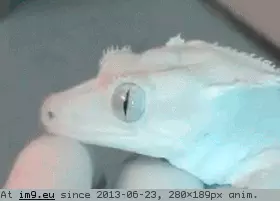  #Holyshit  holyshit GIF (Image of album reaction))