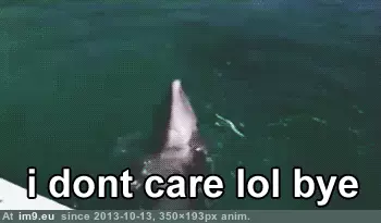 #Funny #Care #Bye #Lol #Dolphin I dont care lol bye (funny dolphin) GIF (Image de album Rehost))