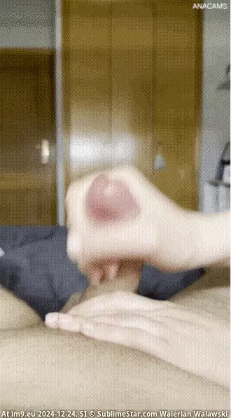 #Amateur #Animated #Teen #Firsttime #Jhonlakeman #Twohands #Cum #Handjob #Cumshot #Femdom 1139371670 GIF (Obraz z album Instant Upload)