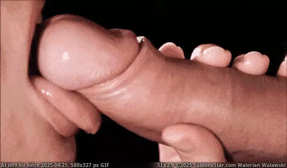 #Porn #Sexy #Amateur #Animated #Xxx #Hardcore #Gifs #XxxGIF #Blowjob #SexGIF #Best #Teengif lick porn gif (babes,blowjob,amateur) GIF (Image de album Best Porn GIF-s List)
