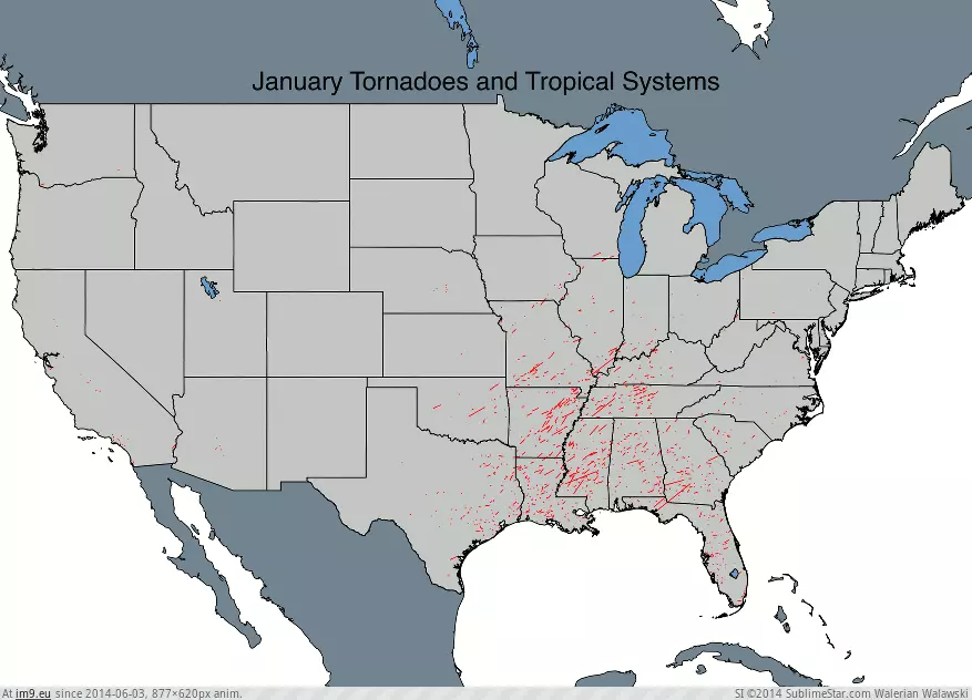 #Month #Tornadoes #877x620 #Nws #Systems #Tropical [Mapporn] All U.S. tornadoes and tropical systems from 1950-2013 by month (NWS) [877x620] [GIF] GIF (Image of album My r/MAPS favs))