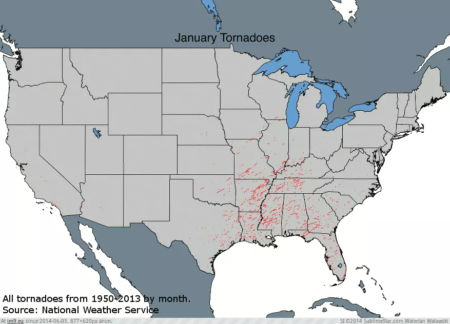 #Tornadoes #877x620 #Month [Mapporn] All U.S. Tornadoes from 1950-2013 by Month [877x620] [GIF] GIF (Image de album My r/MAPS favs))