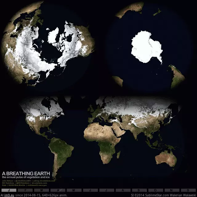 #Year #Vegetation #Cycle #632x619 #Ice #Earth [Mapporn] Earth’s ice and vegetation cycle over a year [632x619] [GIF] GIF (Image of album My r/MAPS favs))