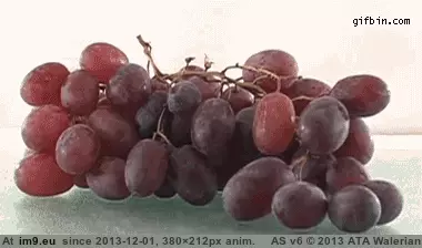 #Time #Lapse #Raisins #Grapes [Mildlyinteresting] Grapes to raisins time lapse GIF (Imagen de album My r/MILDLYINTERESTING favs))