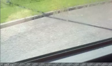#Water #Window #Panes #Bus #Trapped [Mildlyinteresting] Water trapped between window panes on a bus GIF (Image of album My r/MILDLYINTERESTING favs))