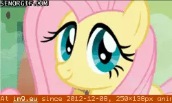 #Cute #Little #Brony #Too #Pony My Little Pony - Brony too cute GIF (Obraz z album Rehost))