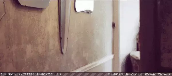 #Holly #Peers #Nsfw [Nsfw GIF] Holly Peers GIF (Image of album My r/NSFW favs)