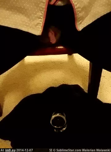 #Album #Glass #Dared #Cognac #Wine #Count [Pee] I was dared to pee in a wine glass, does a cognac glass count? [album] 1 GIF (Obraz z album My r/PEE favs))