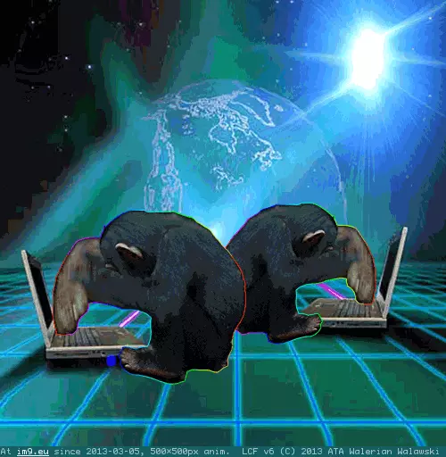 #How #Net #Publish #Works Publish - how the net works GIF (Image of album Rehost))