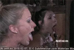 #Cunt #Mouth #Rani #Fuck randi-rani: My mouth is a cunt.fuck it like a cunt GIF (Bild von album Oral Sex)