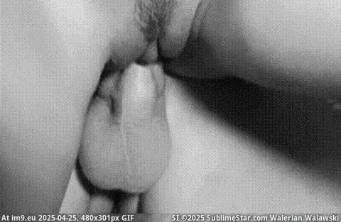 #Porn #Tits #Sexy #Boobs #Animated #Teen #Hardcore #Horny #HardcoreGIF rR3_q7 porn gif (hardcore) GIF (Image de album Best Porn GIF-s List)