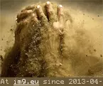#Head  #Sandy sandy-head GIF (Image of album wetwang))