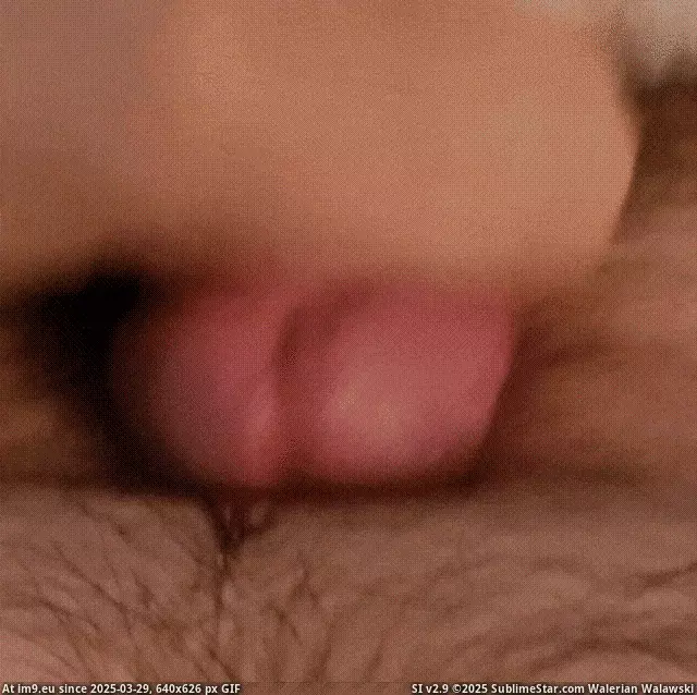 #Nsfw  #Christopher Semen Bursts From His Penis GIF (Изображение из альбом Instant Upload)