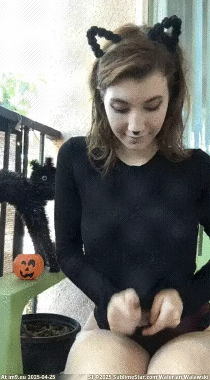 #Porn #Tits #Sexy #Amateur #Animated #Teen #Hardcore #Gifs #Fuckyeah #Cat #Girlfriend #Jessica sexy cat! porn gif (babes,amateur,girlfriend,teen-18,tits,flashing-tits) GIF (Image of album Best Porn GIF-s List)
