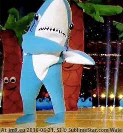 #Shark shark GIF (Obraz z album Rehost))