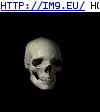 #Black #Skull Skull Black GIF (Image of album Evil, dark GIF's - avatars and horrors))