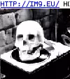 #Skull  #Circles Skull Circles GIF (Image de album Evil, dark GIF's - avatars and horrors))