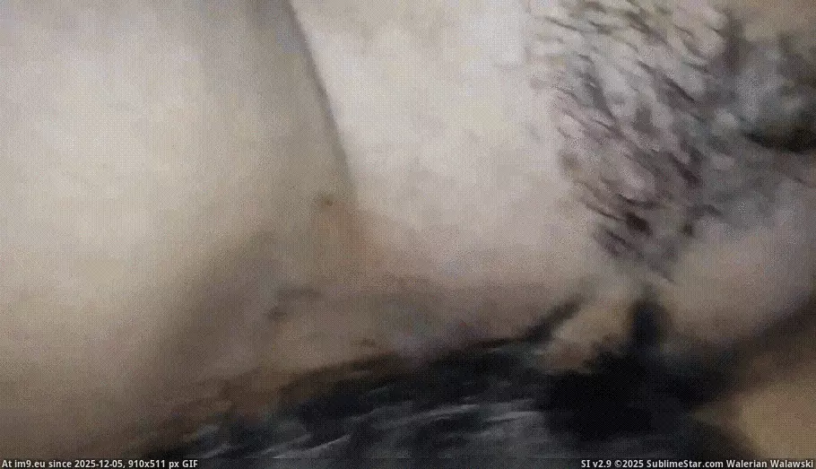 #Pussy #Teen #Young #Fuck #Daughter #Daddy #Incest #Girl #Horny #Wet Sliding~2 (1) GIF (Image of album Instant Upload))