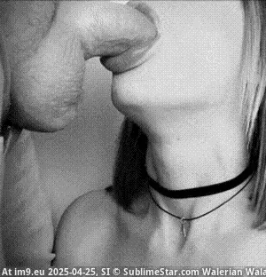 #Porn #Sexy #Animated #Teen #Hardcore #Blonde #Sucking #Blowjob #SexGIF #HardcoreGIF #TeenGIF sucking him dry porn gif (blowjob,blonde,cumshots) GIF (Image de album Best Porn GIF-s List)
