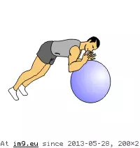 #Animated #Exercise #Ball Three Pt Fw Rl Exercise Ball (animated) GIF (Bild von album Core exercises animations))