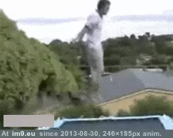 #Funny #Dog #Trampoline #Horny Trampoline and a Horny Dog (funny) GIF (Image of album Rehost))