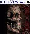 #Tribal  #Scull Tribal Scull GIF (Bild von album Evil, dark GIF's - avatars and horrors))