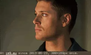#Inline #Mjwgmppiz61qz4rgp tumblr_inline_mjwgmpPiz61qz4rgp GIF (Image of album reaction))