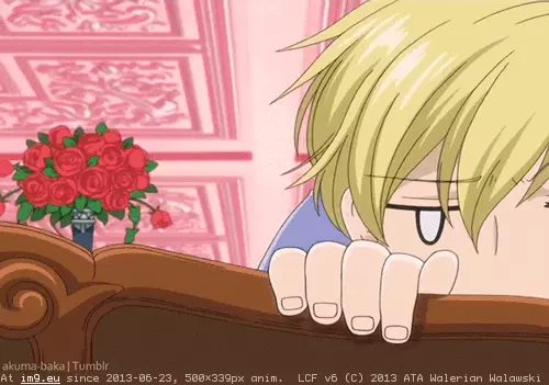 #M7zus462to1rqu3lf tumblr_m7zus462TO1rqu3lf GIF (Image of album reaction))