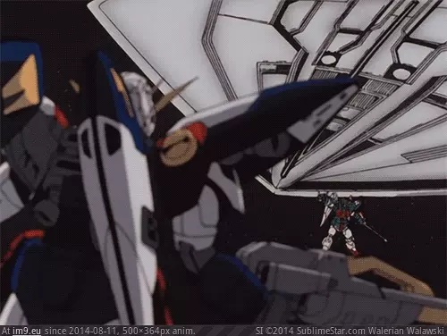 #N3dqxvtu5p1qghohqo1 tumblr_n3dqxvTu5P1qghohqo1_500 GIF (Obraz z album niche folder))