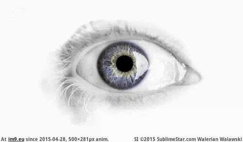 #500x281 #Animated tumblr_ndtpaq9Mxu1rnbafjo1_500 GIF (Image of album Alternative-News.tk))