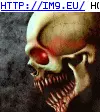 #Skull #Vampire Vampire Skull GIF (Bild von album Evil, dark GIF's - avatars and horrors))