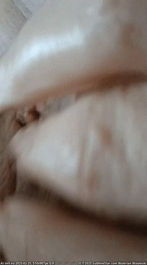#Porn #Tits #Hot #Sexy #Pussy #Animated #Xxx #Hardcore #Slut #XxxGIF #Whore VID-20240611-WA0044p_7 GIF (Obraz z album Instant Upload)