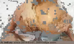 #Porn #Animated #Gif vignette181cc50b-1ec3-49fb-958d-670e6cf33ba6 GIF (Obraz z album ghbbhiuiju))