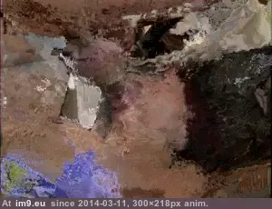 #Porn #Animated #Gif vignette23fd0038-27d8-479b-bab5-2508a457bce3 GIF (Image of album ghbbhiuiju))
