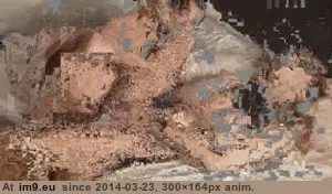 #Porn #Animated #Gif vignette6afcabb7-d195-4c55-b4e0-a626c9b26fc6 GIF (Image de album ghbbhiuiju))