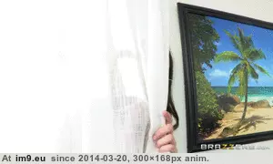 #Porn #Animated #Gif vignette974436cc-dd34-4c1c-9cde-b7f0d5446eca GIF (Image de album ghbbhiuiju))