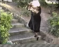 #Porn #Animated #Gif vignetteb038777f-278e-41fd-9ef1-8095f6261aca GIF (Imagen de album ghbbhiuiju))