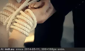 #Porn #Animated #Gif vignettec67c4d11-4b56-414c-94e8-c2f530e2e7fa GIF (Изображение из альбом ghbbhiuiju))