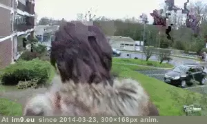 #Porn #Animated #Gif vignettefd3e6572-dba3-4b46-8c57-ebd54ac073ab GIF (Image of album ghbbhiuiju))