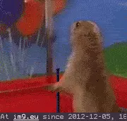 #Dramatic  #Vuvuzela Vuvuzela Dramatic GIF (Image of album Rehost))