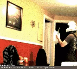 #Wtf #Not #Reason #Live #Australia [Wtf] #1 reason not to live in Australia. GIF (Imagen de album My r/WTF favs))