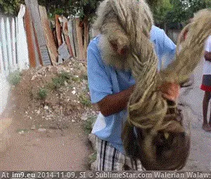 #Wtf  #Dreadlocks [Wtf] 40yo dreadlocks GIF (Image of album My r/WTF favs))