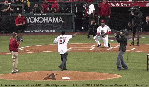#Wtf #Baseball #Femur #Broken #Catching [Wtf] A broken femur....just from catching a baseball GIF (Image de album My r/WTF favs))