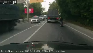 #Wtf #Awakening #Rude [Wtf] A rude awakening GIF (Imagen de album My r/WTF favs))