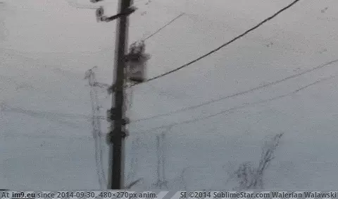 #Wtf  #Wall [Wtf] A wall of WTF GIF (Изображение из альбом My r/WTF favs))