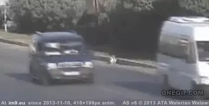 #Wtf #Abandoned #Baby [Wtf] Abandoned baby GIF (Obraz z album My r/WTF favs))