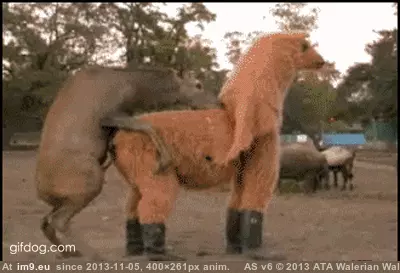 #Wtf  #Ahahahahaha [Wtf] Ahahahahaha GIF (Imagen de album My r/WTF favs))